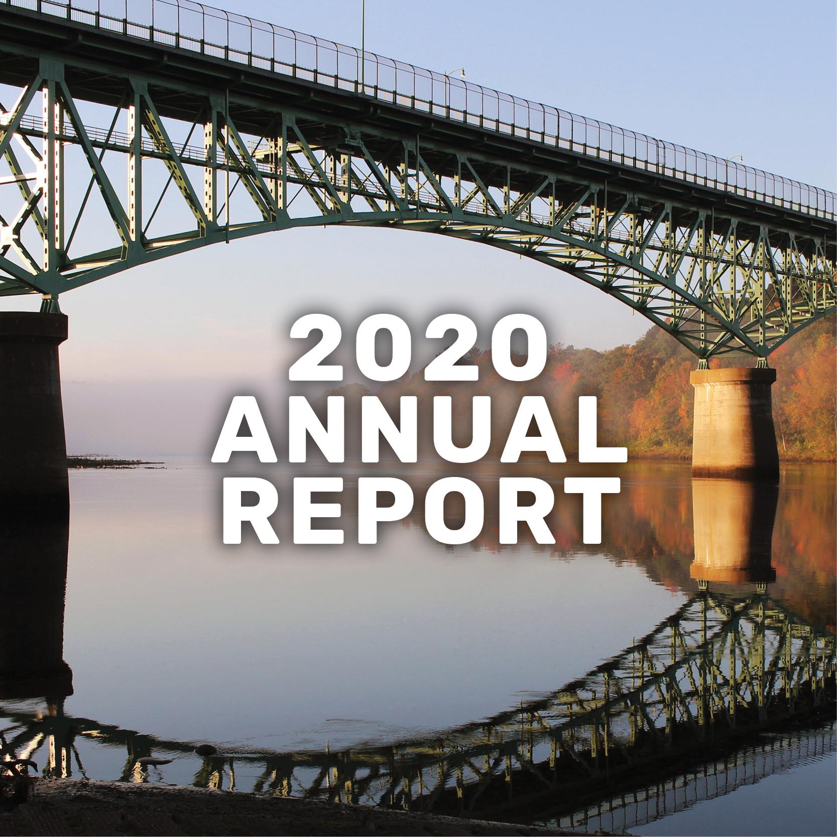2020 annual report banner